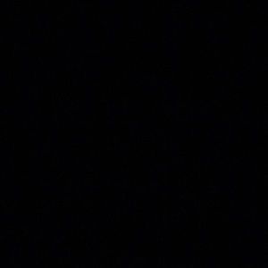 Meet your Posher, Rose